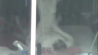 Шаргал coed fucked багш дараа хосууд