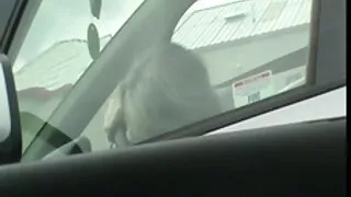 Хатуу Babitter асрагч өөх хойлог fucked түүний таашаал гэхэд шинэхэн хүн
